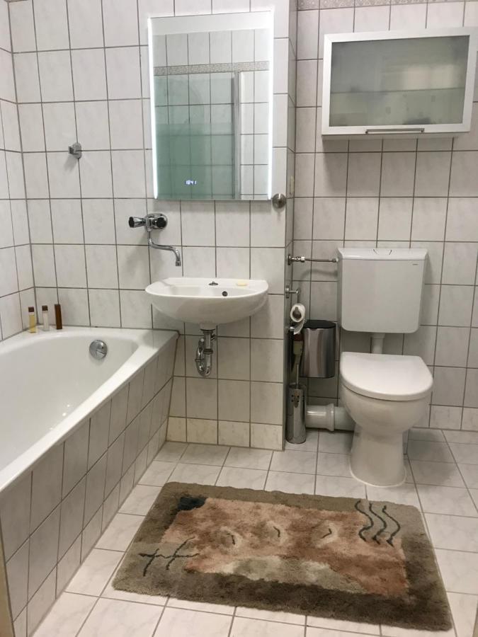 Zentrumsnahe Leipzig-Apartments, Nahe Ufz Und Bmw Inkl Parkplatz Und Fahrraeder Exterior photo